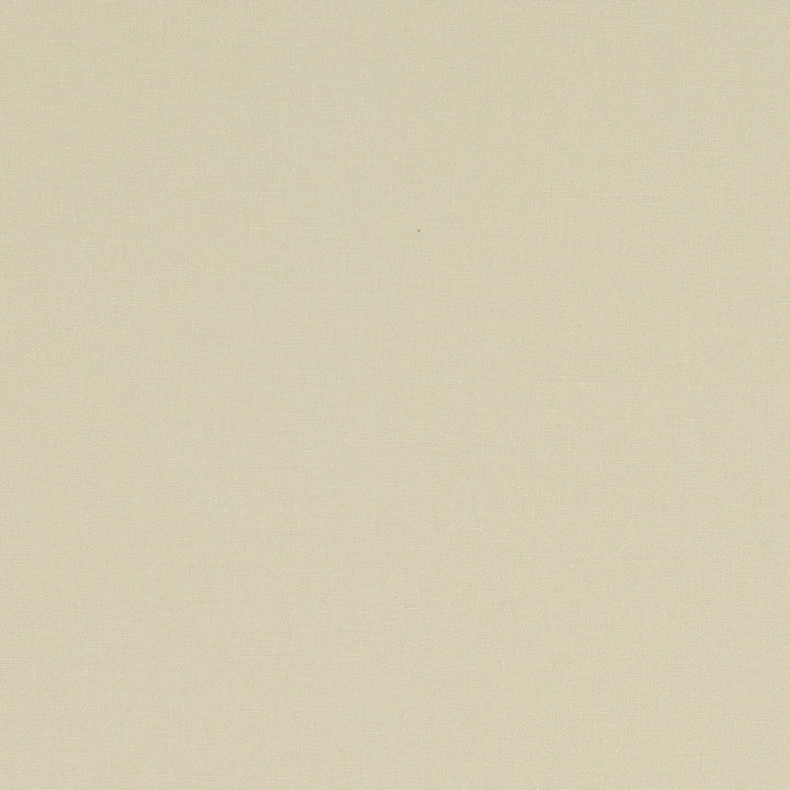 F1097 62 Alora Stone by Clarke and Clarke Designer Fabric STUDIO G COTTON - 100% Spain HEAVY Horizontal: 0 and Vertical: 0 54 - Swanky Fabrics -
