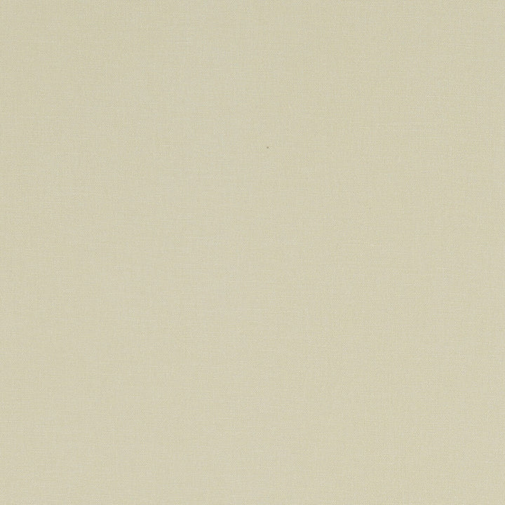 Alora Stone by Clarke And Clarke Designer Fabric CLARKE & CLARKE ALORA COTTON - 100% Spain HEAVY Horizontal: 0 and Vertical: 0 54 - Swanky Fabrics -