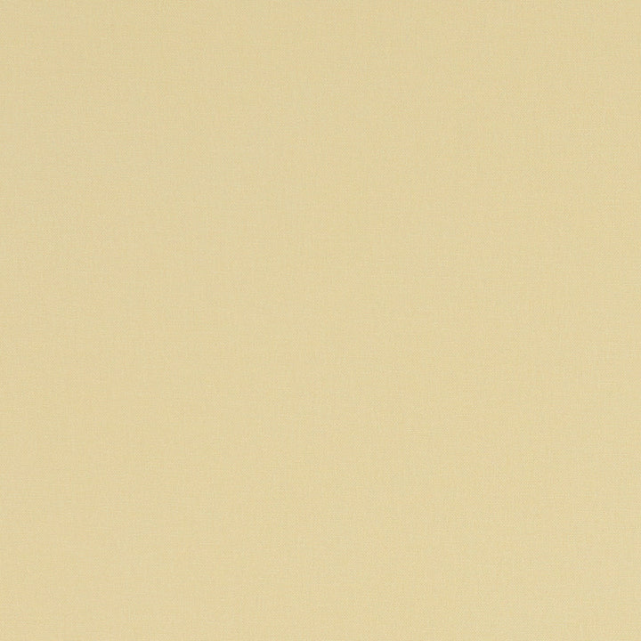 F1097 63 Alora Straw by Clarke and Clarke Designer Fabric STUDIO G COTTON - 100% Spain HEAVY Horizontal: 0 and Vertical: 0 54 - Swanky Fabrics -