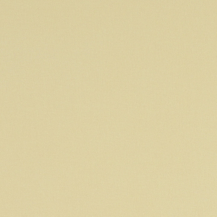 Alora Straw by Clarke And Clarke Designer Fabric CLARKE & CLARKE ALORA COTTON - 100% Spain HEAVY Horizontal: 0 and Vertical: 0 54 - Swanky Fabrics -