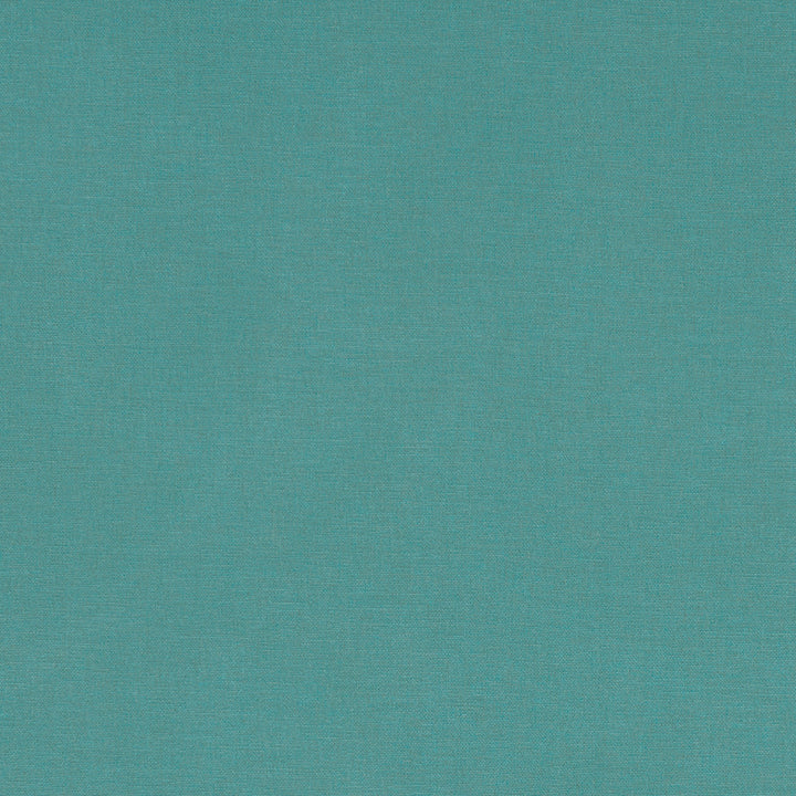 F1097 65 Alora Surf by Clarke and Clarke Designer Fabric STUDIO G COTTON - 100% Spain HEAVY Horizontal: 0 and Vertical: 0 54 - Swanky Fabrics -