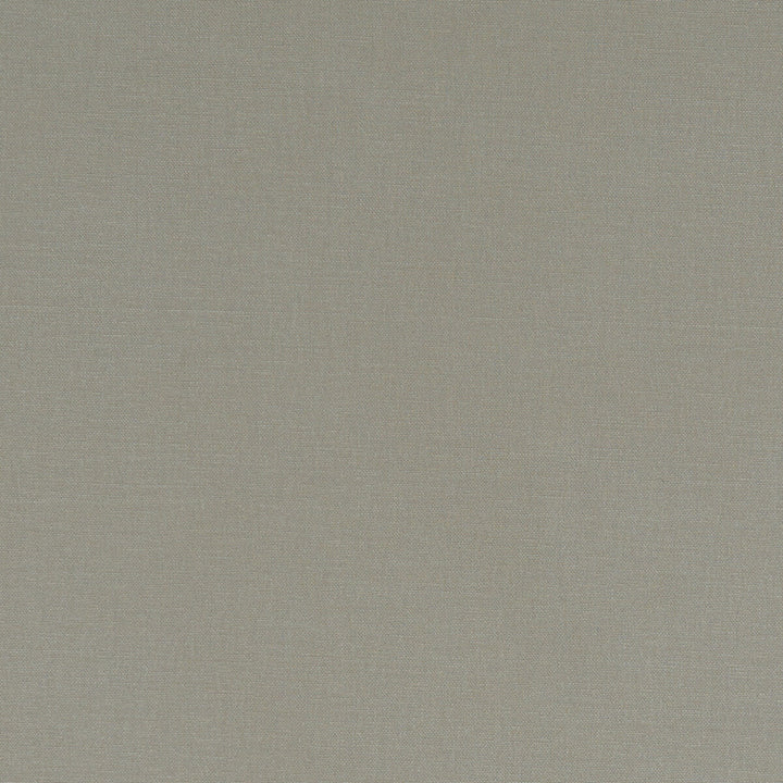 Alora Taupe by Clarke And Clarke Designer Fabric CLARKE & CLARKE ALORA COTTON - 100% Spain HEAVY Horizontal: 0 and Vertical: 0 54 - Swanky Fabrics -