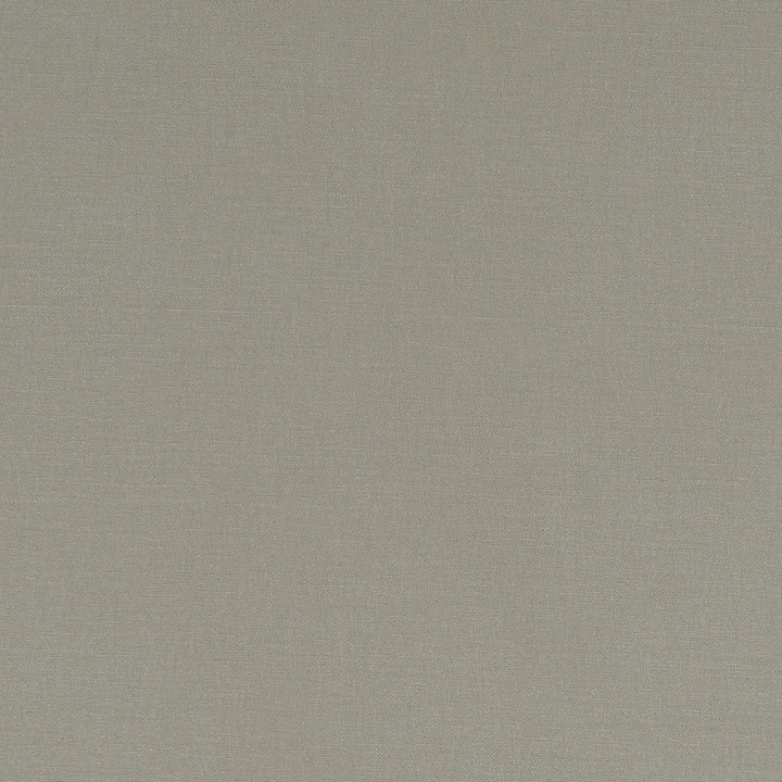 F1097 66 Alora Taupe by Clarke and Clarke Designer Fabric STUDIO G COTTON - 100% Spain HEAVY Horizontal: 0 and Vertical: 0 54 - Swanky Fabrics -
