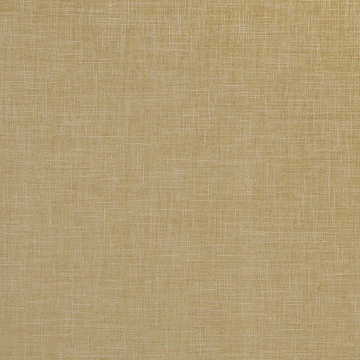 Albany Antique by Clarke And Clarke Designer Fabric CLARKE & CLARKE ALBANY & MORAY POLYESTER - 78%;COTTON - 22% India HEAVY Horizontal: 0 and Vertical: 0 55 - Swanky Fabrics -