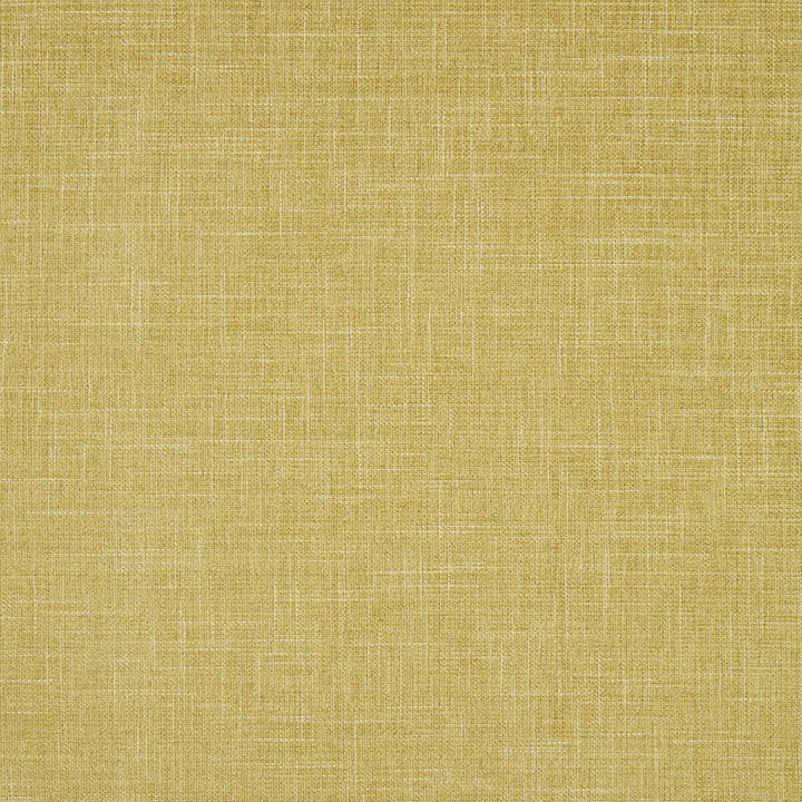 Albany Chartreuse by Clarke And Clarke Fabric Clarke And Clarke Fabric Albany ChartreuseFabric CLARKE & CLARKE ALBANY & MORAY POLYESTER - 78%;COTTON - 22% India </p><p>Repeat: H: 0, V: 0 55 - Fabric Carolina -