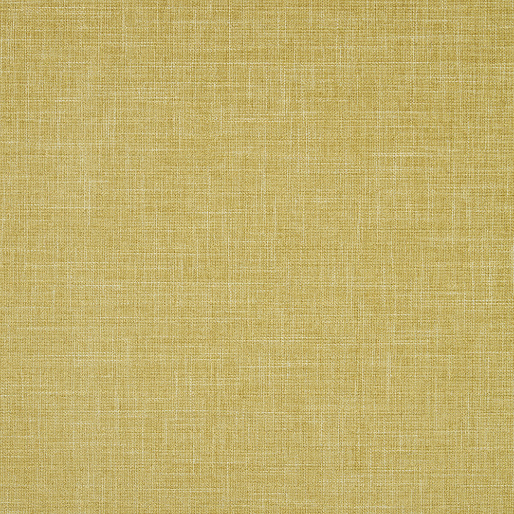 Albany Chartreuse by Clarke And Clarke Designer Fabric CLARKE & CLARKE ALBANY & MORAY POLYESTER - 78%;COTTON - 22% India HEAVY Horizontal: 0 and Vertical: 0 55 - Swanky Fabrics -
