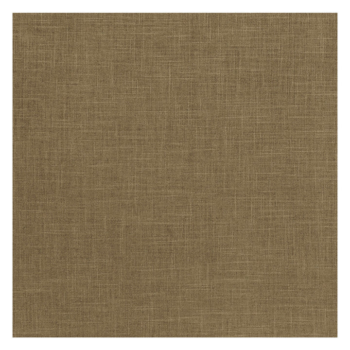 Albany Moss by Clarke And Clarke Designer Fabric CLARKE & CLARKE ALBANY & MORAY POLYESTER - 78%;COTTON - 22% India HEAVY Horizontal: 0 and Vertical: 0 55 - Swanky Fabrics -