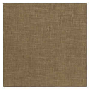 Albany Moss by Clarke And Clarke Designer Fabric