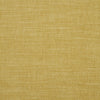 Moray Chartreuse by Clarke And Clarke Designer Fabric