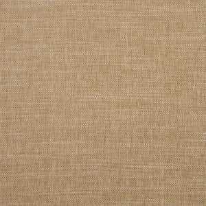 Moray Pecan by Clarke And Clarke Designer Fabric