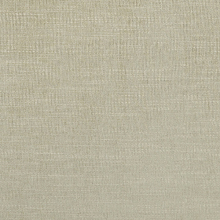 Moray Sage by Clarke And Clarke Designer Fabric CLARKE & CLARKE ALBANY & MORAY POLYESTER - 64%;COTTON - 12%;LINEN - 12%;VISCOSE - 12% India HEAVY Horizontal: 0 and Vertical: 0 55 - Swanky Fabrics -