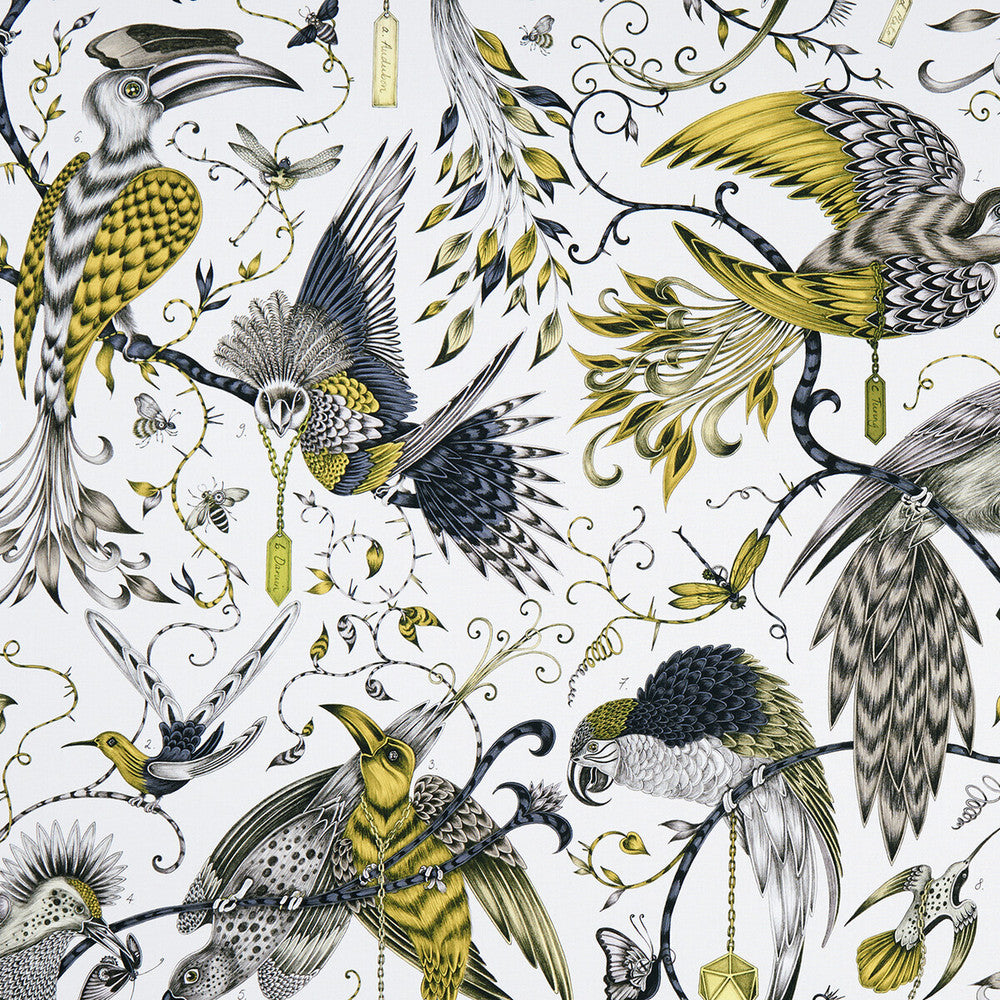Audubon Gold by Clarke And Clarke Fabric Clarke And Clarke Fabric Audubon GoldFabric ANIMALIA BY EMMA J SHIPLEY FOR C&C COTTON - 100% United Kingdom </p><p>Repeat: H: 54.33, V: 26.97 54 - Fabric Carolina -