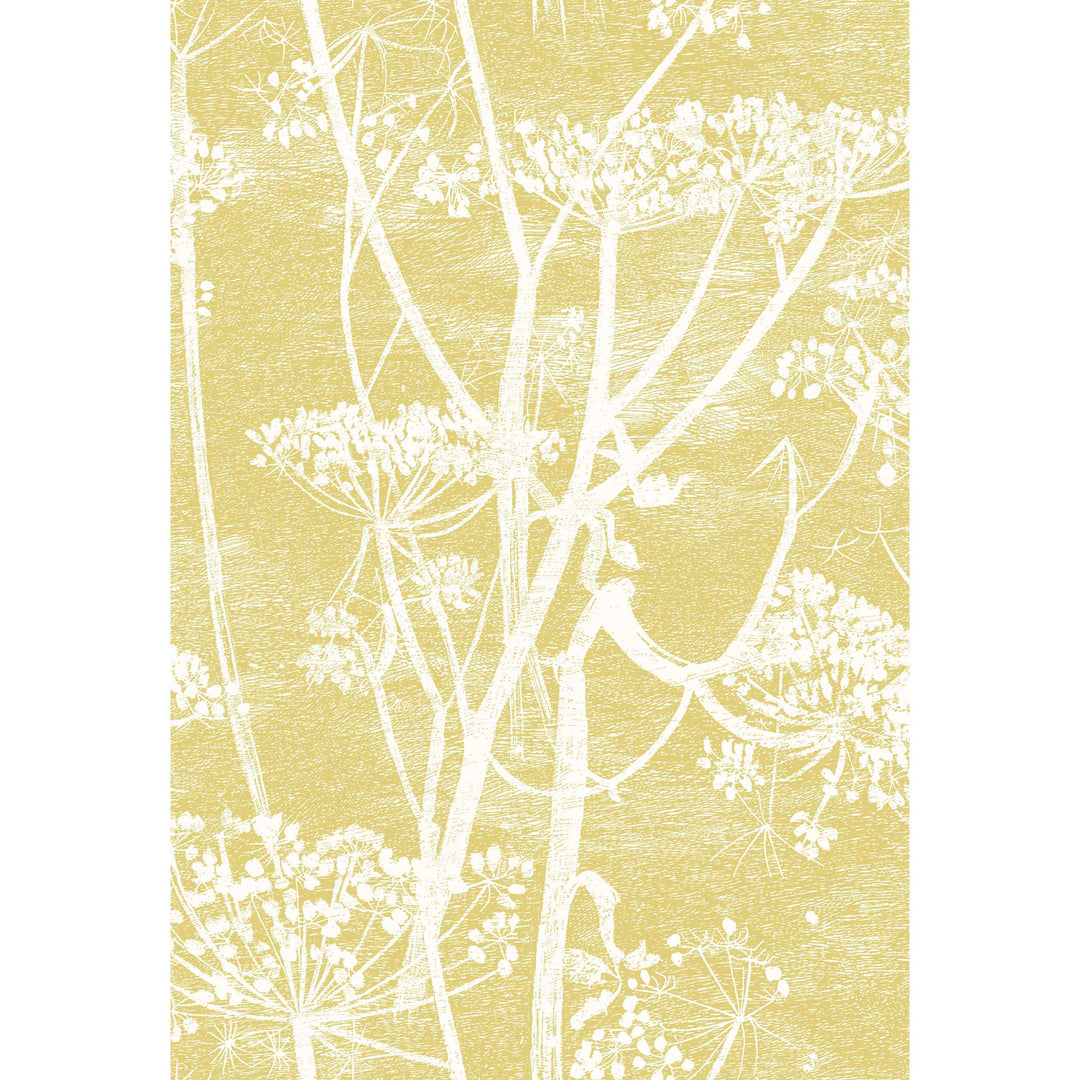 Color Box Velvet - Sage F121/5024.CS.0 by Cole & Son Designer Fabric