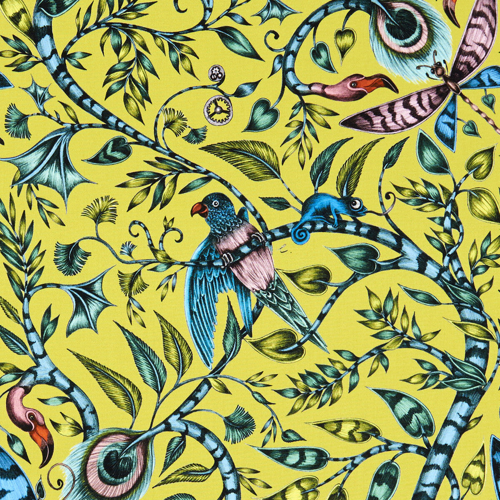 Rousseau Lime by Clarke And Clarke Fabric Clarke And Clarke Fabric Rousseau LimeFabric ANIMALIA BY EMMA J SHIPLEY FOR C&C COTTON - 100% United Kingdom </p><p>Repeat: H: 13.58, V: 26.97 54 - Fabric Carolina -