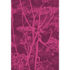Cow Parsley Magnta Plm by Cole & Son Designer Fabric
