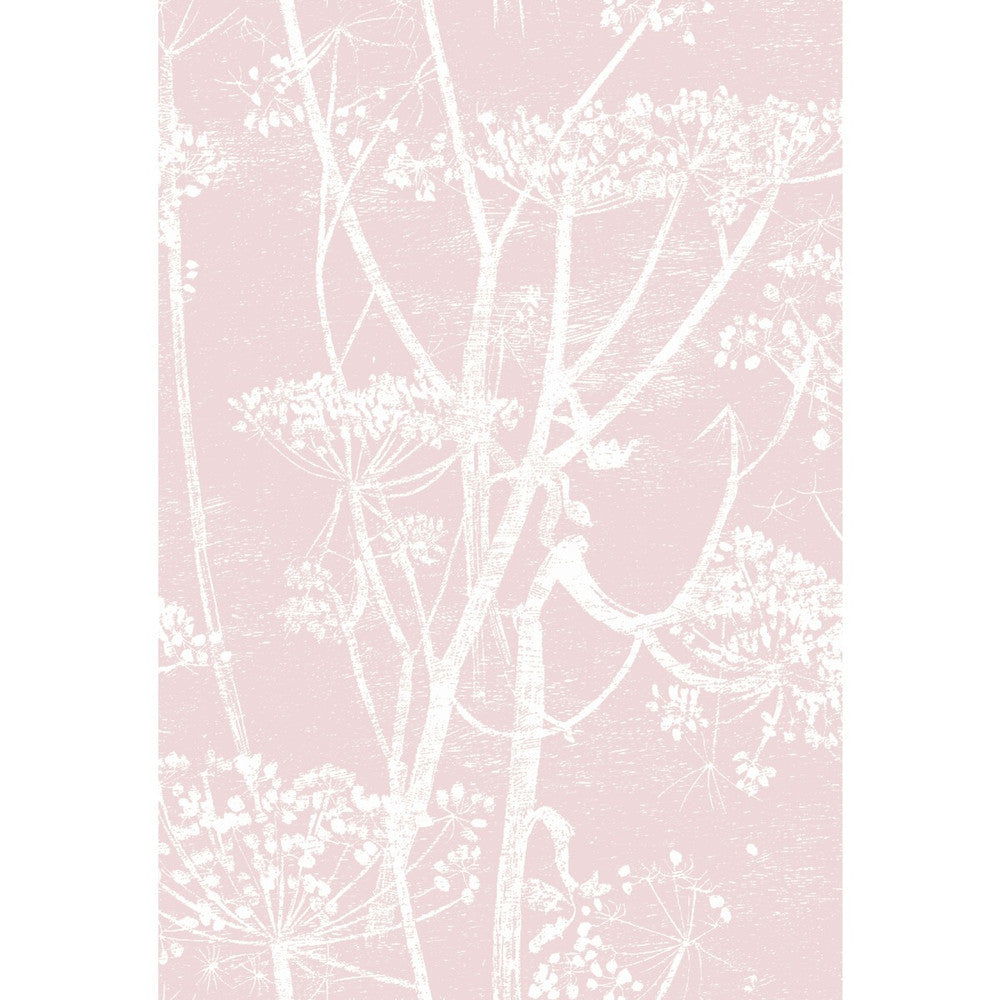 Cow Parsley Wht Balle Slip by Cole & Son Fabric Cole & Son Fabric Cow Parsley Wht Balle SlipFabric COLE & SON CONTEMPORARY FABRICS LINEN - 100% Italy </p><p>Repeat: H: 18.5, V: 28 55.5 - Fabric Carolina -