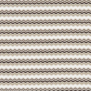 Comet Charcoal by Clarke And Clarke Designer Fabric