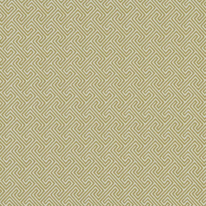 Mercury Citron by Clarke And Clarke Designer Fabric CLARKE & CLARKE EQUINOX COTTON - 61%;POLYESTER - 39% Turkey HEAVY Horizontal: 1.2 and Vertical: 1.2 54 - Swanky Fabrics -