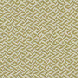 Mercury Citron by Clarke And Clarke Designer Fabric