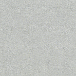 Nebula Dove by Clarke And Clarke Designer Fabric