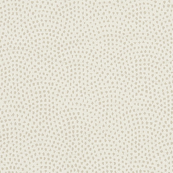 Nebula Ivory by Clarke And Clarke Designer Fabric CLARKE & CLARKE EQUINOX POLYESTER - 100% Turkey HEAVY Horizontal: 10 and Vertical: 9.125 54 - Swanky Fabrics -