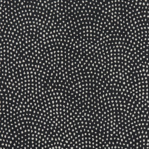 Nebula Noir by Clarke And Clarke Designer Fabric