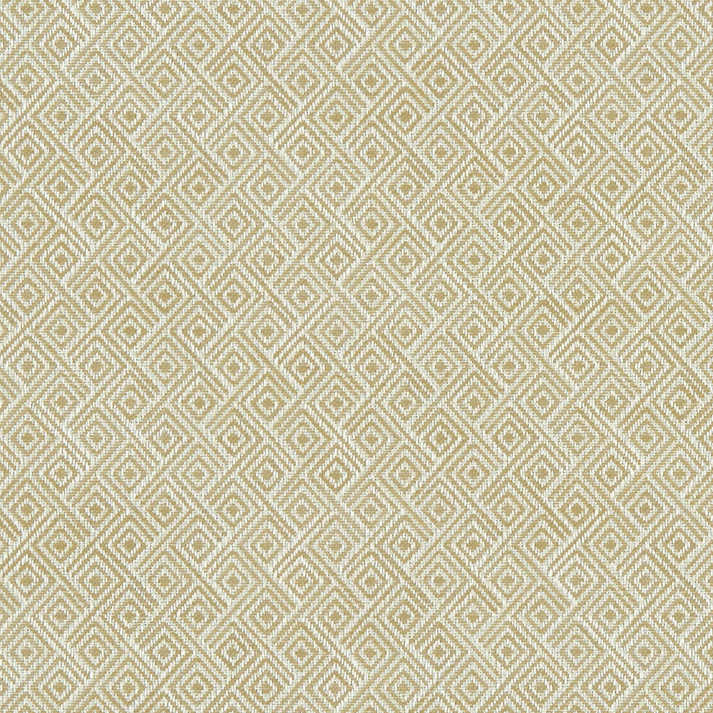 Rhombus Antique by Clarke And Clarke Fabric Clarke And Clarke Fabric Rhombus AntiqueFabric CLARKE & CLARKE EQUINOX COTTON - 62%;POLYESTER - 38% Turkey </p><p>Repeat: H: 1.18, V: 1.18 54 - Fabric Carolina -