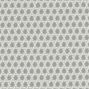Saturn Charcoal by Clarke And Clarke Designer Fabric