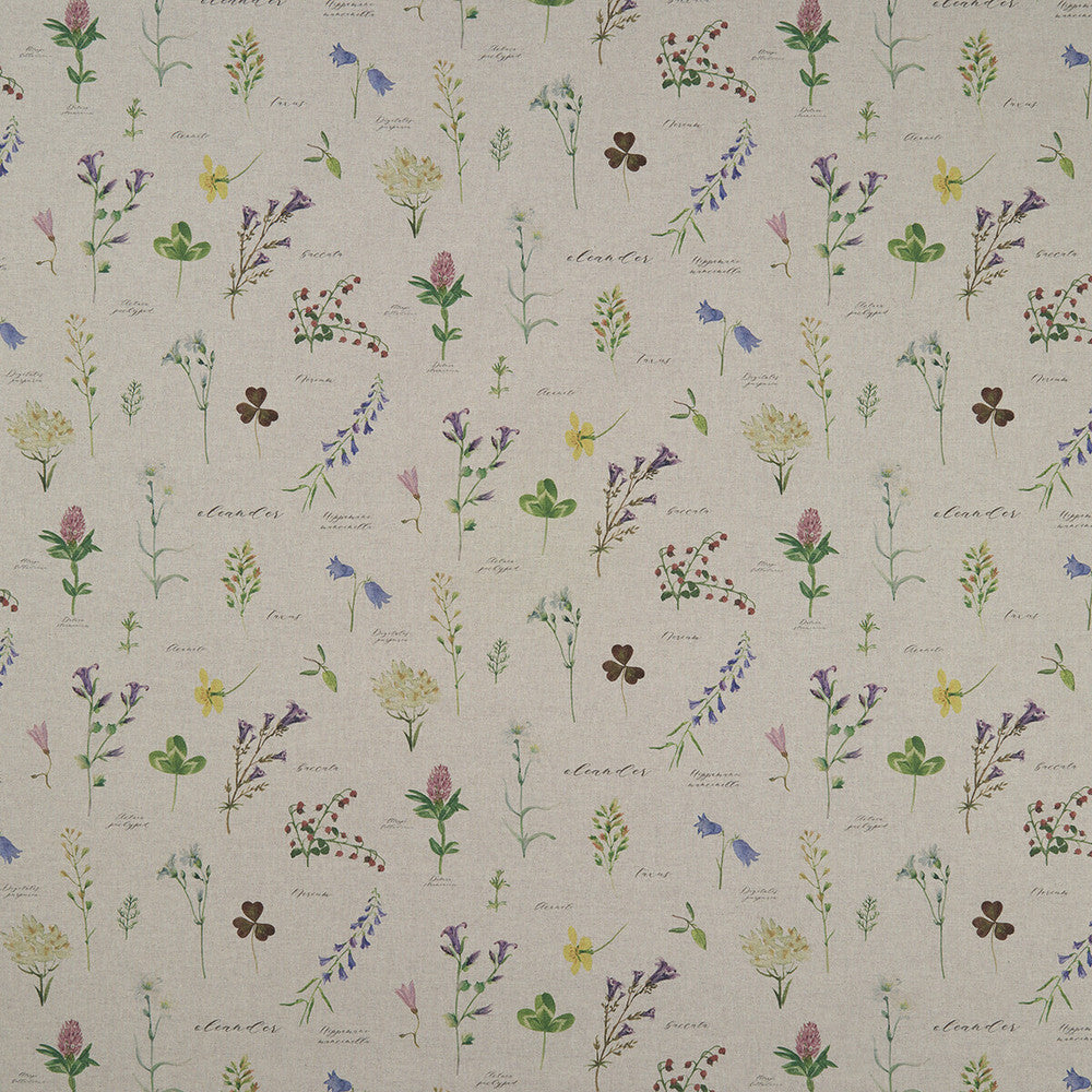 Nerium Linen by Clarke And Clarke Fabric Clarke And Clarke Fabric Nerium LinenFabric CLARKE & CLARKE COUNTRY GARDEN COTTON - 80%;POLYESTER - 20% Spain </p><p>Repeat: H: 26.97, V: 18.62 54 - Fabric Carolina -