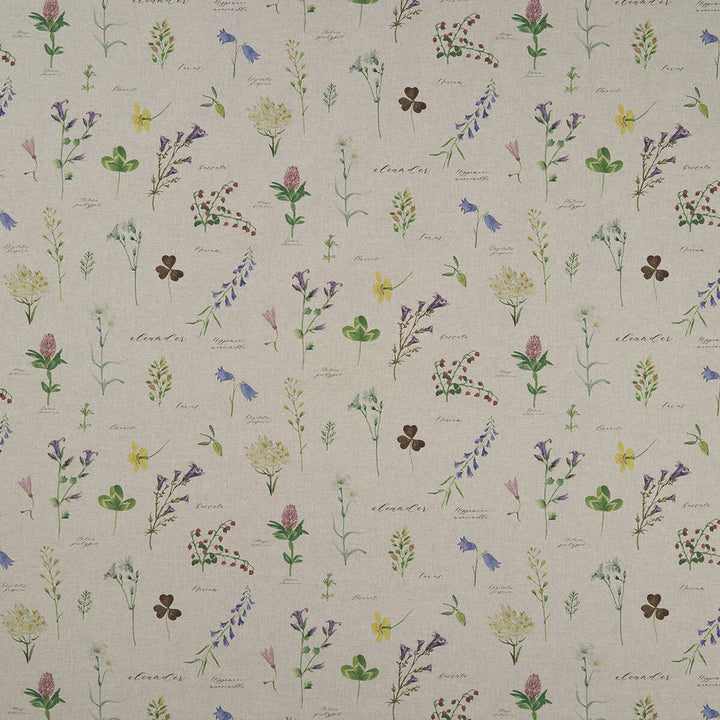 Nerium Linen by Clarke And Clarke Designer Fabric CLARKE & CLARKE COUNTRY GARDEN COTTON - 80%;POLYESTER - 20% Spain MEDIUM Horizontal: 26.97 and Vertical: 18.62 54 - Swanky Fabrics -