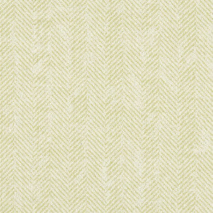 Ashmore Citron by Clarke And Clarke Designer Fabric