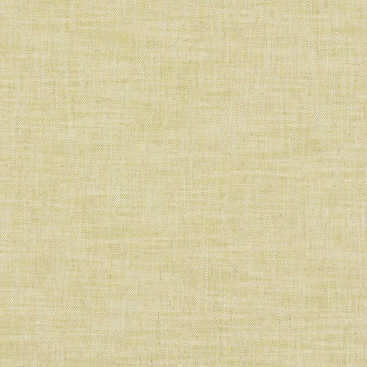Milton Citron by Clarke And Clarke Fabric Clarke And Clarke Fabric Milton CitronFabric CLARKE & CLARKE HERITAGE COTTON - 42%;COTTON - 42%;LINEN - 11%;POLYESTER - 5% Turkey </p><p>Repeat: H: 0, V: 0 54 - Fabric Carolina -