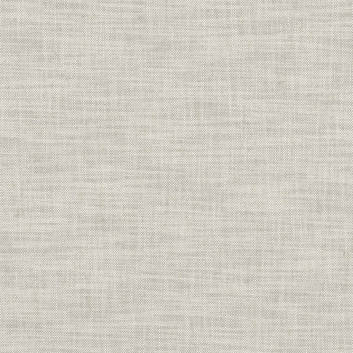 Milton Dove by Clarke And Clarke Designer Fabric CLARKE & CLARKE HERITAGE COTTON - 42%;COTTON - 42%;LINEN - 11%;POLYESTER - 5% Turkey HEAVY Horizontal: 0 and Vertical: 0 54 - Swanky Fabrics -