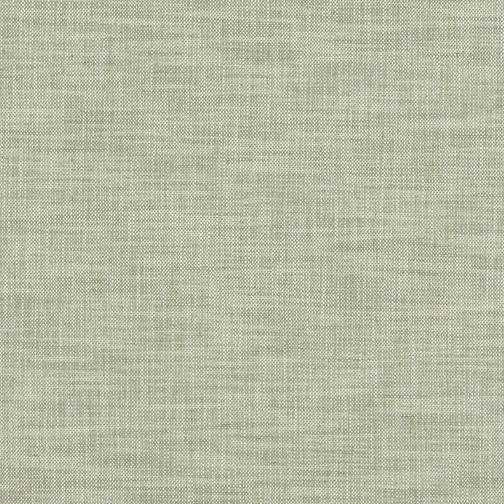 Milton Sage by Clarke And Clarke Designer Fabric CLARKE & CLARKE HERITAGE COTTON - 42%;COTTON - 42%;LINEN - 11%;POLYESTER - 5% Turkey HEAVY Horizontal: 0 and Vertical: 0 54 - Swanky Fabrics -