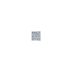 Trawler Navy by Clarke And Clarke Designer Fabric