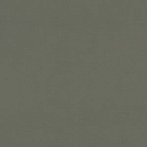 Renzo Charcoal by Clarke And Clarke Designer Fabric