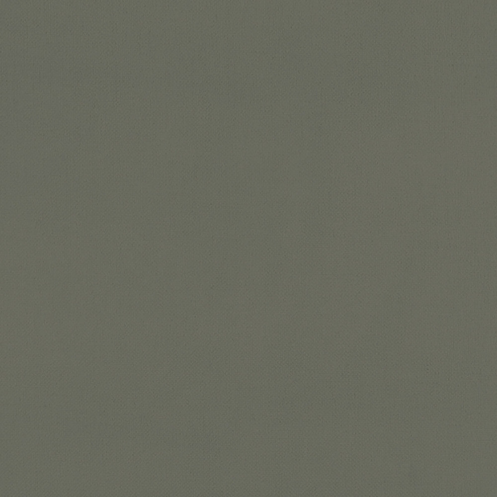 Renzo Charcoal by Clarke And Clarke Designer Fabric CLARKE & CLARKE RENZO POLYESTER - 100% China HEAVY Horizontal: 0 and Vertical: 0 55 - Swanky Fabrics -