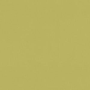 Renzo Citrus by Clarke And Clarke Designer Fabric