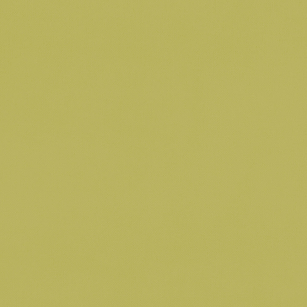 Renzo Citrus by Clarke And Clarke Fabric Clarke And Clarke Fabric Renzo CitrusFabric CLARKE & CLARKE RENZO POLYESTER - 100% China </p><p>Repeat: H: 0, V: 0 55 - Fabric Carolina -