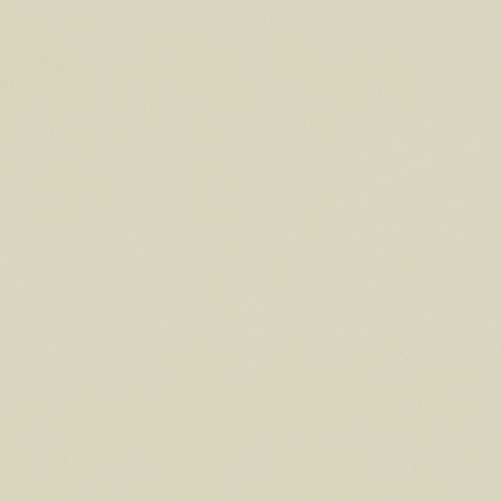 Renzo Cream by Clarke And Clarke Designer Fabric CLARKE & CLARKE RENZO POLYESTER - 100% China HEAVY Horizontal: 0 and Vertical: 0 55 - Swanky Fabrics -