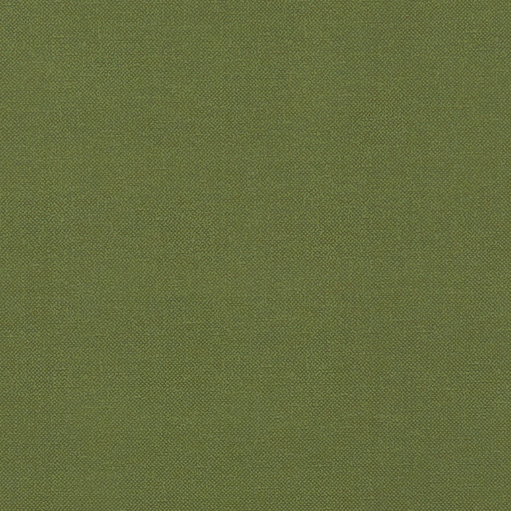 F1231 11 Renzo Forest by Clarke and Clarke Designer Fabric STUDIO G POLYESTER - 100% China HEAVY Horizontal: 0 and Vertical: 0 55 - Swanky Fabrics -
