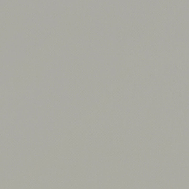 F1231 13 Renzo Linen by Clarke and Clarke Designer Fabric STUDIO G POLYESTER - 100% China HEAVY Horizontal: 0 and Vertical: 0 55 - Swanky Fabrics -