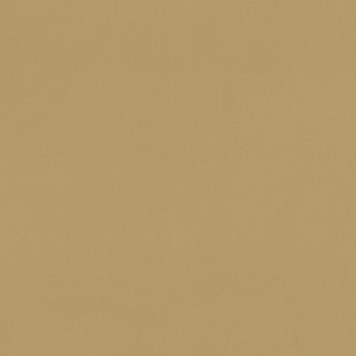 F1231 18 Renzo Ochre by Clarke and Clarke Designer Fabric STUDIO G POLYESTER - 100% China HEAVY Horizontal: 0 and Vertical: 0 55 - Swanky Fabrics -