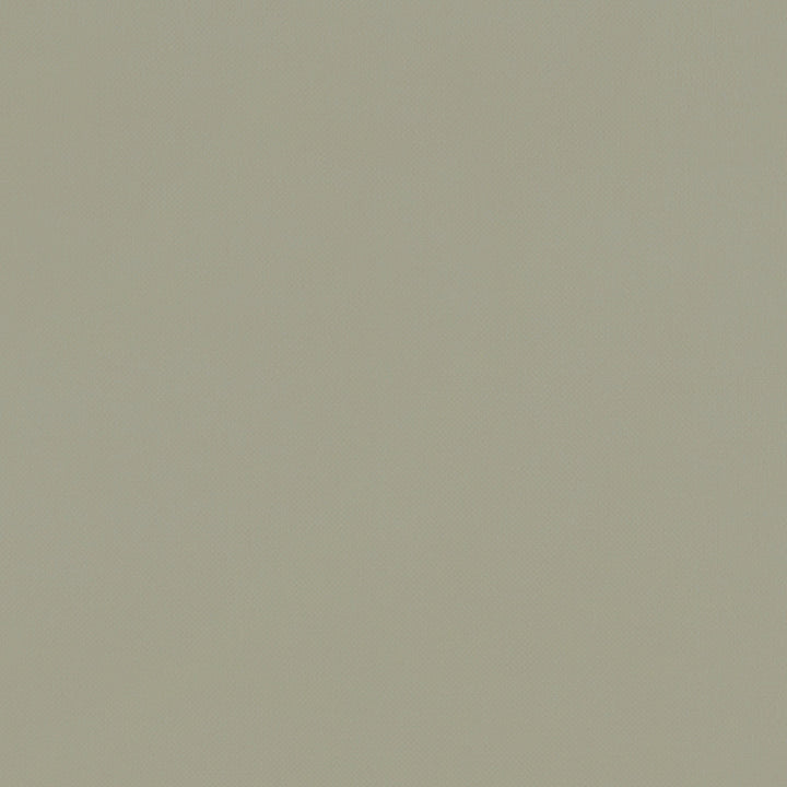 F1231 22 Renzo Sage by Clarke and Clarke Designer Fabric STUDIO G POLYESTER - 100% China HEAVY Horizontal: 0 and Vertical: 0 55 - Swanky Fabrics -