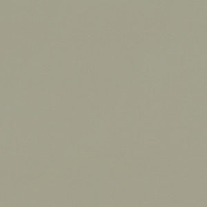 Renzo Sage by Clarke And Clarke Designer Fabric