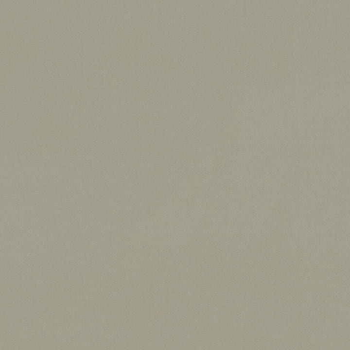 Renzo Sage by Clarke And Clarke Designer Fabric CLARKE & CLARKE RENZO POLYESTER - 100% China HEAVY Horizontal: 0 and Vertical: 0 55 - Swanky Fabrics -