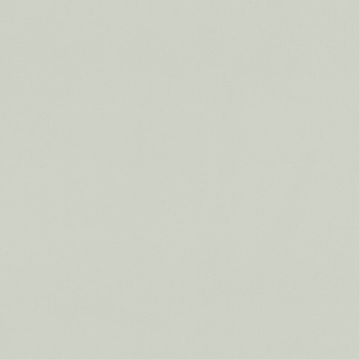 Renzo Silver by Clarke And Clarke Designer Fabric CLARKE & CLARKE RENZO POLYESTER - 100% China HEAVY Horizontal: 0 and Vertical: 0 55 - Swanky Fabrics -