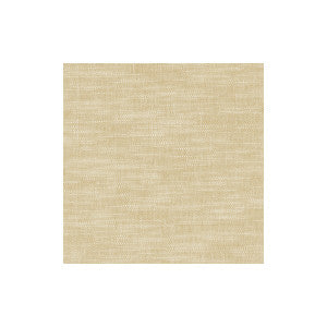 Amalfi Alabaster by Clarke And Clarke Designer Fabric