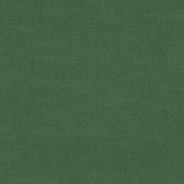 F1239 25 Amalfi Forest by Clarke and Clarke Designer Fabric CLARKE & CLARKE COTTON - 77%;POLYESTER - 23% India HEAVY Horizontal: 0 and Vertical: 0 54 - Swanky Fabrics -