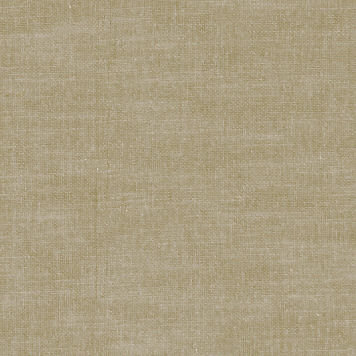 F1239 44 Amalfi Oatmeal by Clarke and Clarke Designer Fabric CLARKE & CLARKE COTTON - 77%;POLYESTER - 23% India HEAVY Horizontal: 0 and Vertical: 0 54 - Swanky Fabrics -